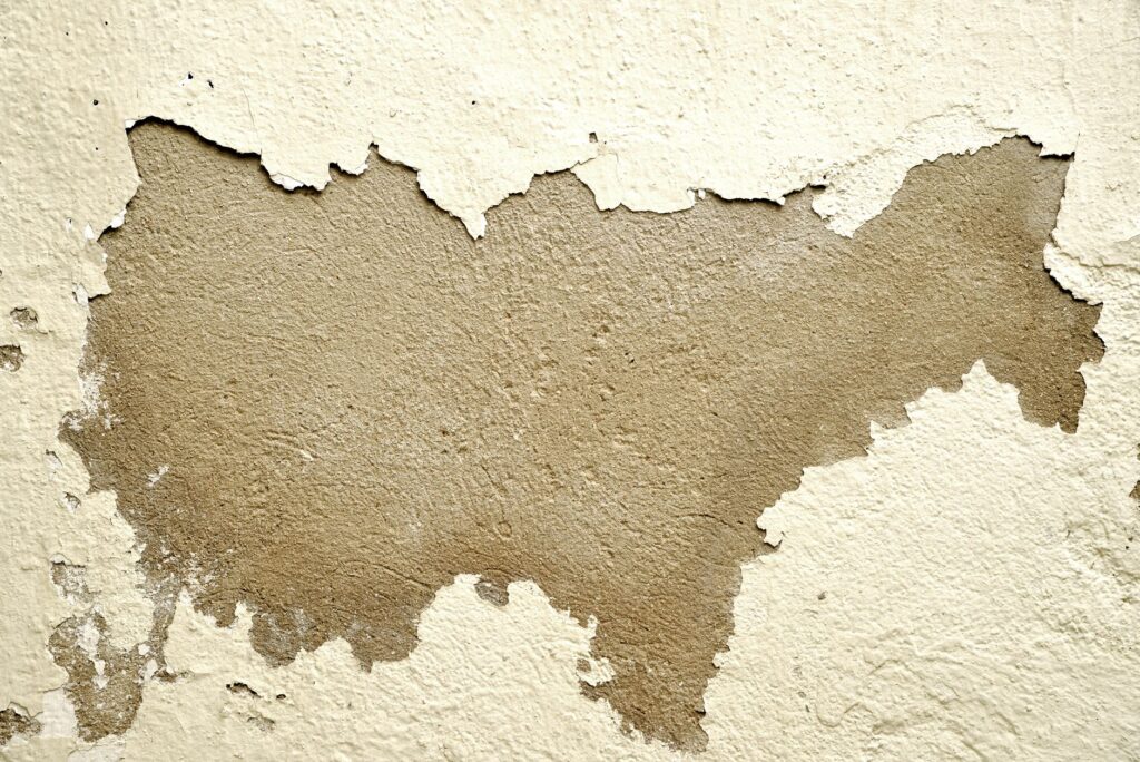 Plaster Contractor Near Me: London Prices and How to Vet One